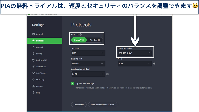 PIAのWindowsアプリのカスタマイズ画面のスクリーンショット