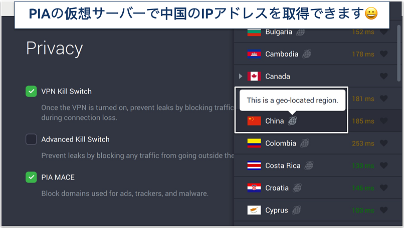 Screenshot of PIA's privacy settings and virtual servers in the app