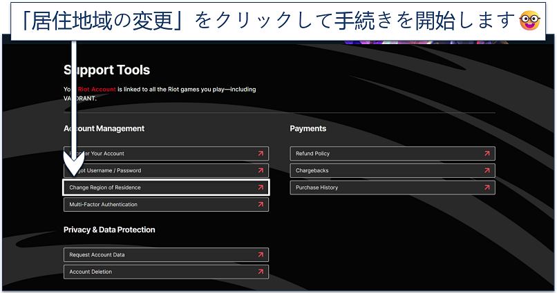 Screenshot of Riot's support page